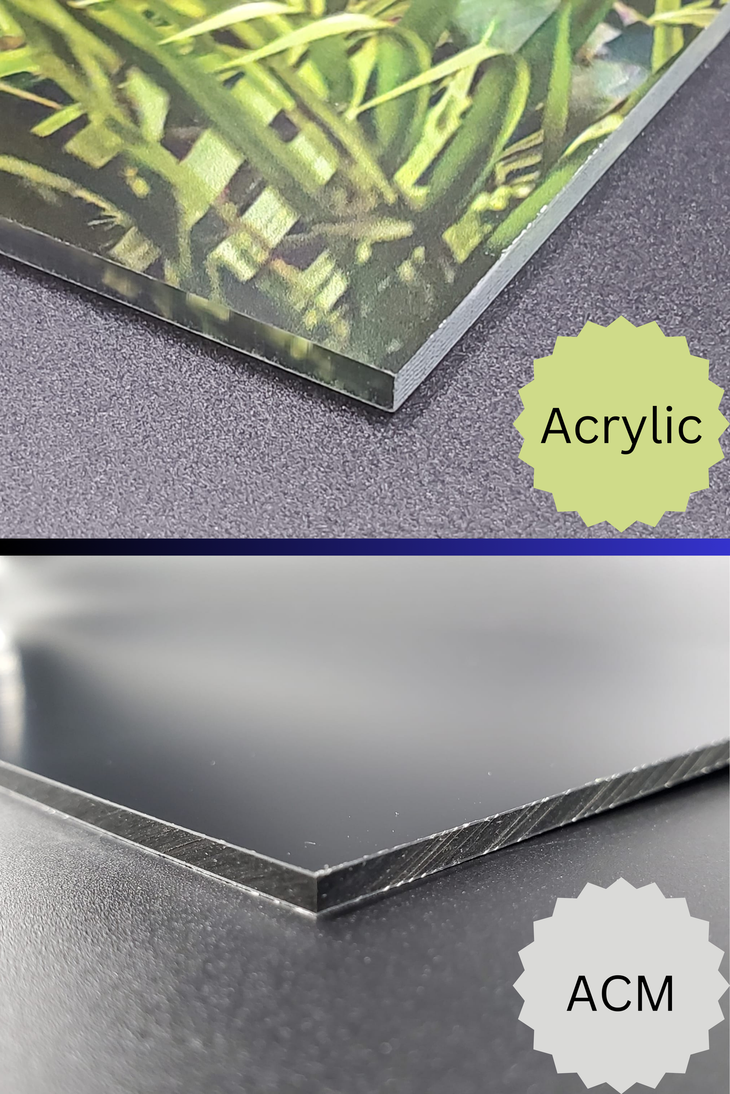 Wander Among the Stars