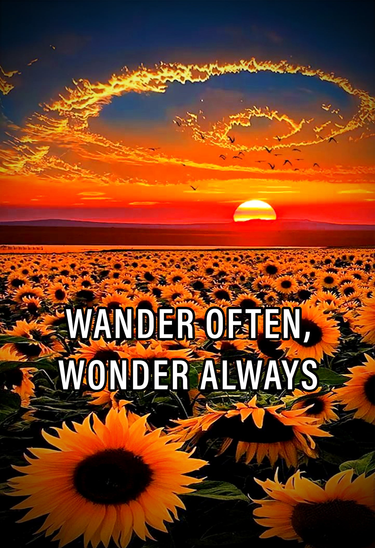 Wander Often, Wonder Always