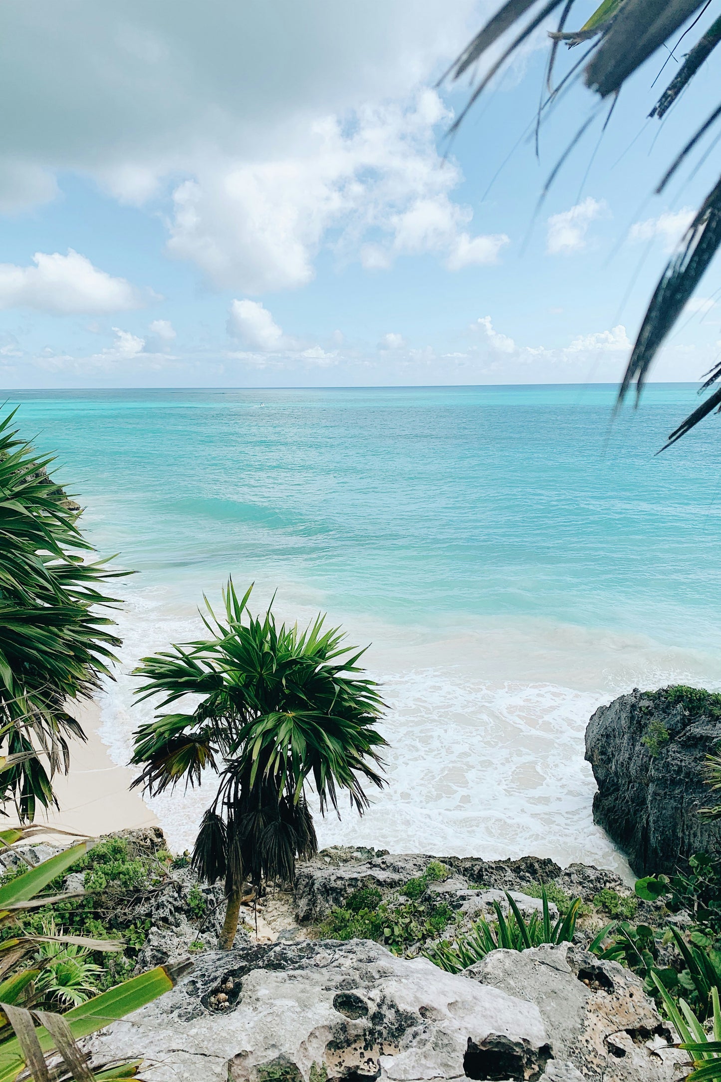 Tranquil Shores: Tropical Beach Paradise Metal Poster