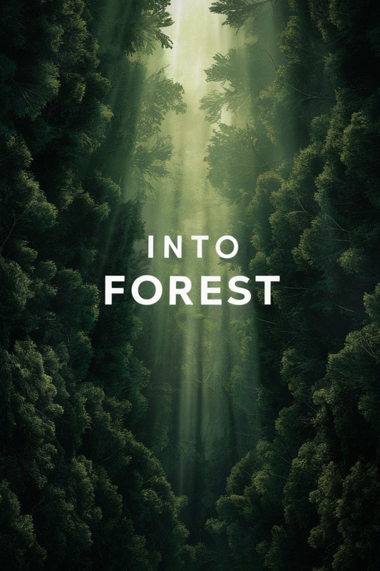 Into Forest