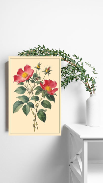 Rose Elegance: Vintage Bloom Metal Poster